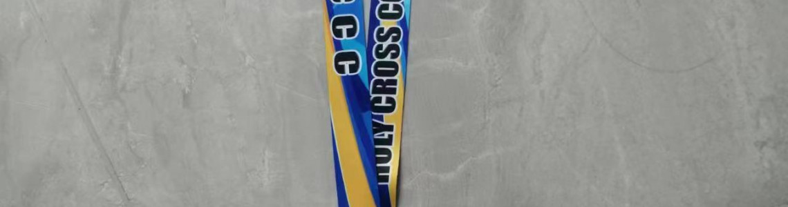 Lanyard & ID Holder