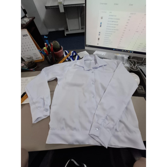 HCCS JHS Blouse Long Sleeve